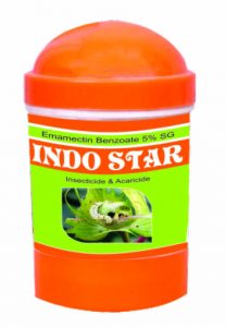 Indo Star