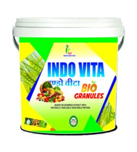 INDO VITA