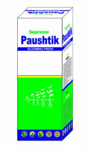 Paushtik