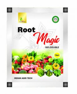 Root Magic